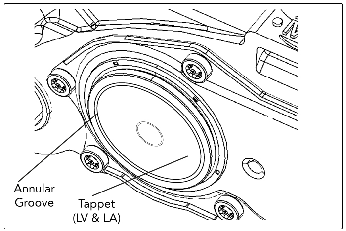 tappet 14b illustrator